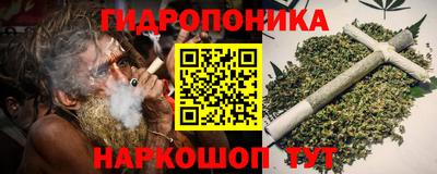 apvp Пугачёв