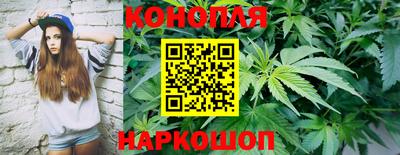 гашик Пыть-Ях