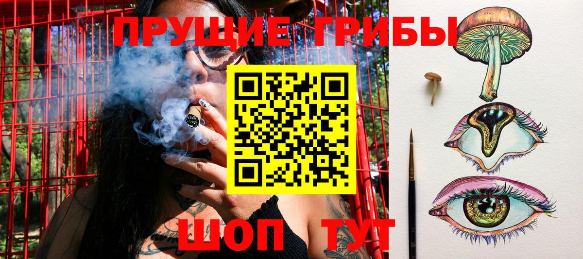 Псков  Галлюциногенные грибы MAGIC MUSHROOMS  Псилоцибиновые грибы Psilocybine cubensis  Вход с VPN 